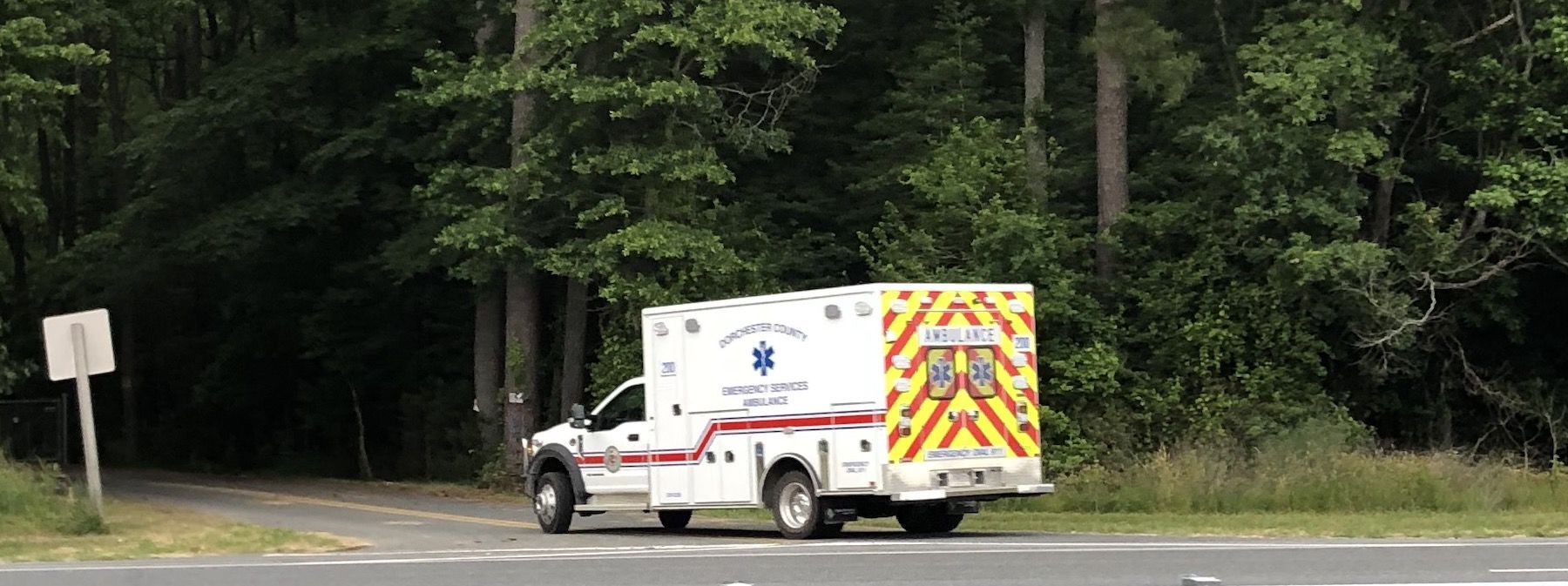 Paramedic 200 turns into dog control driveway